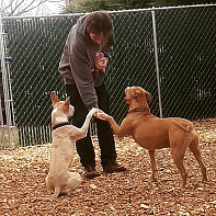 Rob with Nitro & Freddy