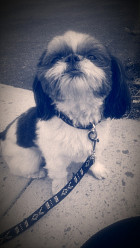 Maeby Baby Maeby Baby